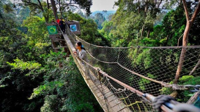 Rekomendasi Tempat Wisata Alam Di Kalimantan